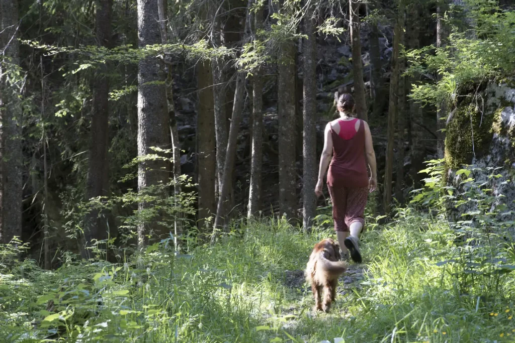 sentier-philosophique